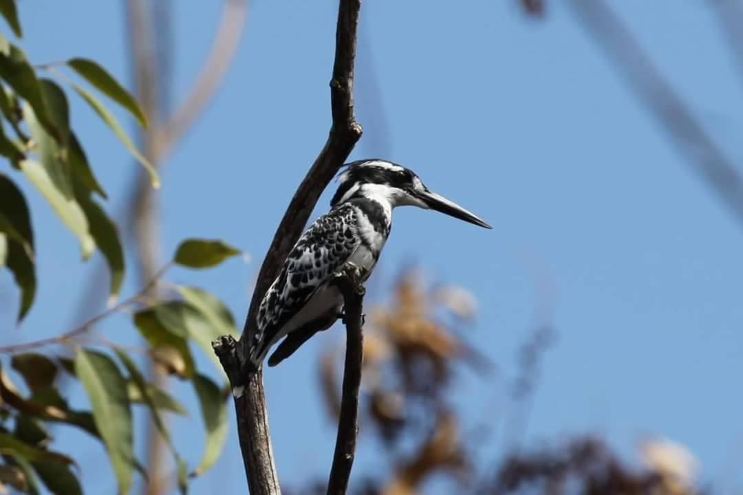 مبيت وإفطار شرق لندن Fish Eagle Manor المظهر الخارجي الصورة